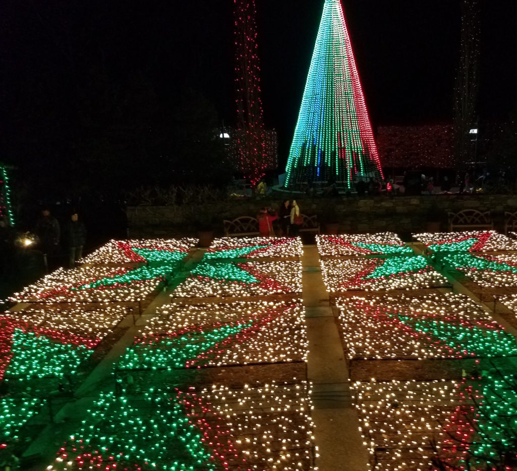 Lights at the Arboretum